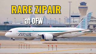 RARE ZIPAIR Dreamliner at DFW ✈️ Diverted Boeing 787-8 Departure
