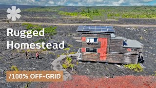 Solo girl terraforms lava field with off-grid oasis & rugged tiny home 🏝️