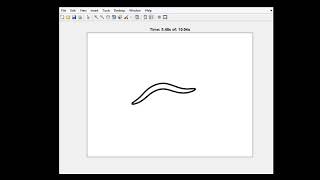C Elegans Tap