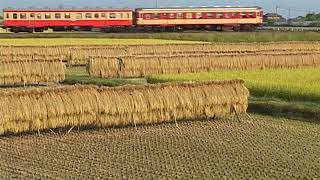 島原鉄道　キハ20形　普通列車