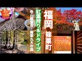 #53 秋の福岡県篠栗町de紅葉狩り🍁呑山観音寺から篠栗九大の森へ🎵十割そばの名店も【50代夫婦ドライブ】