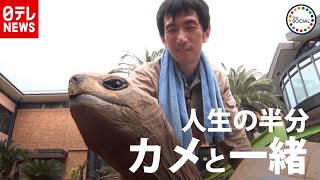 人生の半分がカメと一緒…“カメ愛”が強すぎる飼育員　『the SOCIAL』傑作選（2019年3月27日放送より）