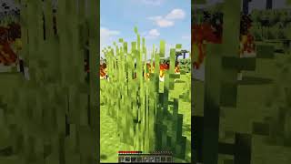 Minecraft Tapi AKu Bisa Mining Bedrock#shorts
