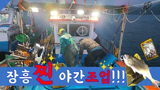 [찐어부] 야간조업!! 밤바다에서 환상의 팀워크/백조기/부세+전라남도 장흥 /fisherman/night sea/渔夫
