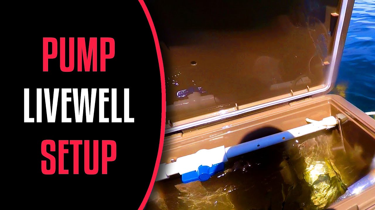 LIVEWELL SETUP with single PUMP 🐟 - YouTube