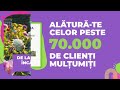 🌺Plante pentru gradina, interior si accesorii | VERDENA.RO 🌿