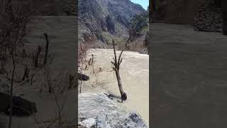 #Berivan#Arya#hey#beri🖤🚬