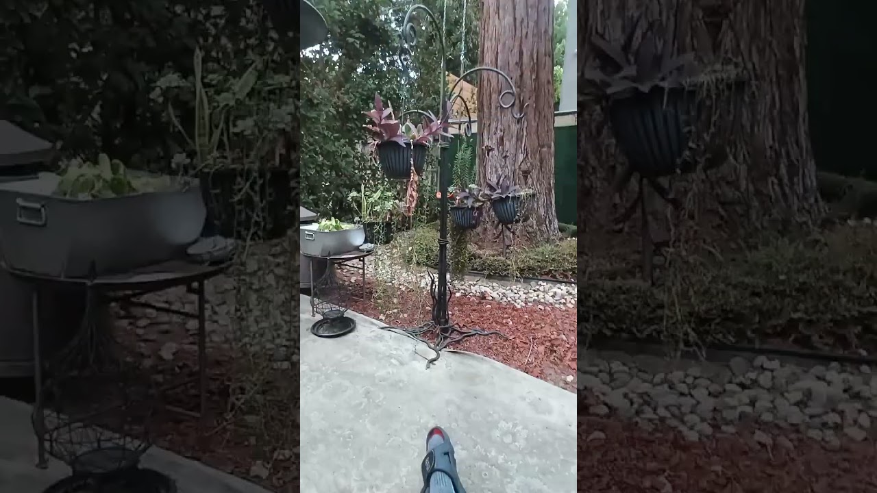 Woodland Hills Chronicles..