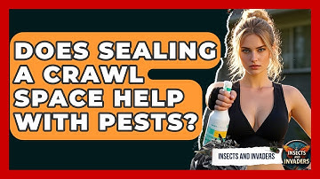 Does Sealing A Crawl Space Help With Pests? - Insects and Invaders