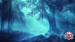 Drift Into Stillness