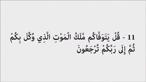 ماتيسر من سورة السجدة بصوت جميل