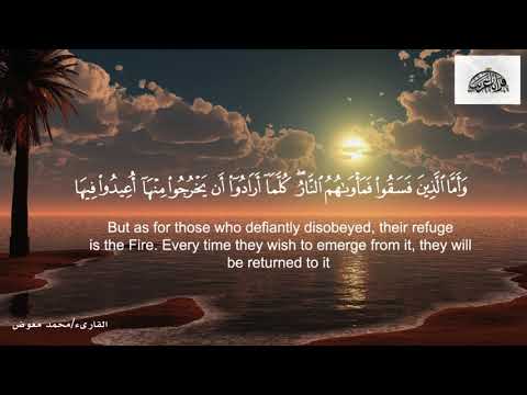 تلاوة تبكي القلوب قبل العيون القارىء محمد معوض 