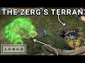 Starcraft 2 the zergs command center viewer game