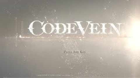 Learning the Basics - Code Vein