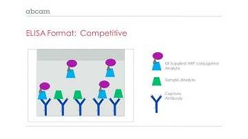 ELISA: First Principles