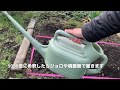 バクチャー植物の使い方！耕した地面に撒く編！