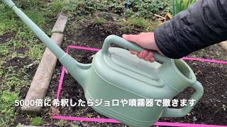 バクチャー植物の使い方！耕した地面に撒く編！