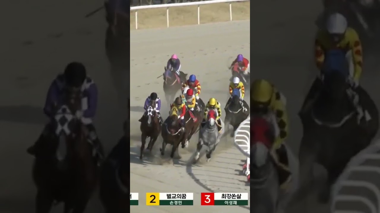 또22.3배 두방으로적중  경마는 역시고배당최고야
