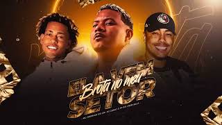 ELA VEM, BROTA NO MEU SETOR   MC RODRIGO DO CN  DJ ZIGAO E FP DO TREM BALA