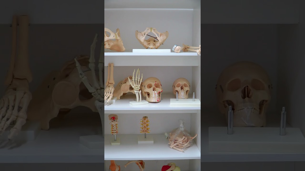 Altamimi International University