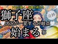 獅子座🌹びっくりする強い引き寄せ‼️新展開✨【個人鑑定級】先読み深掘りtarot &Oracleリーディング#タロット #潜在意識 #しし座 