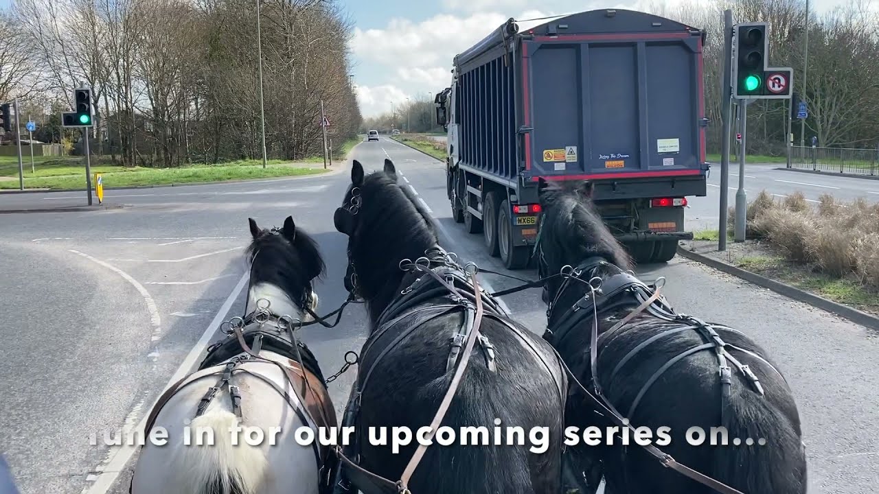 Trailer: The Purpose of Trandem Tuition