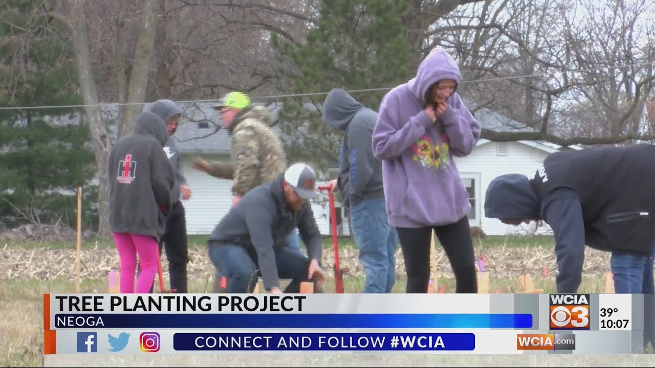 Neoga students plant over 1,000 trees in school habitat