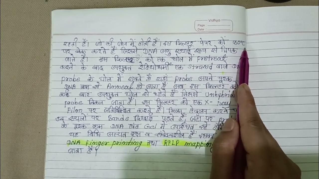 Southern blotting in Hindi BSc final year zoology loreandlit YouTube