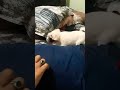 old memories of duggi 😍😍🥰❤️.... #pets #funny #viral #cute #memories #comedy #youtubeshorts
