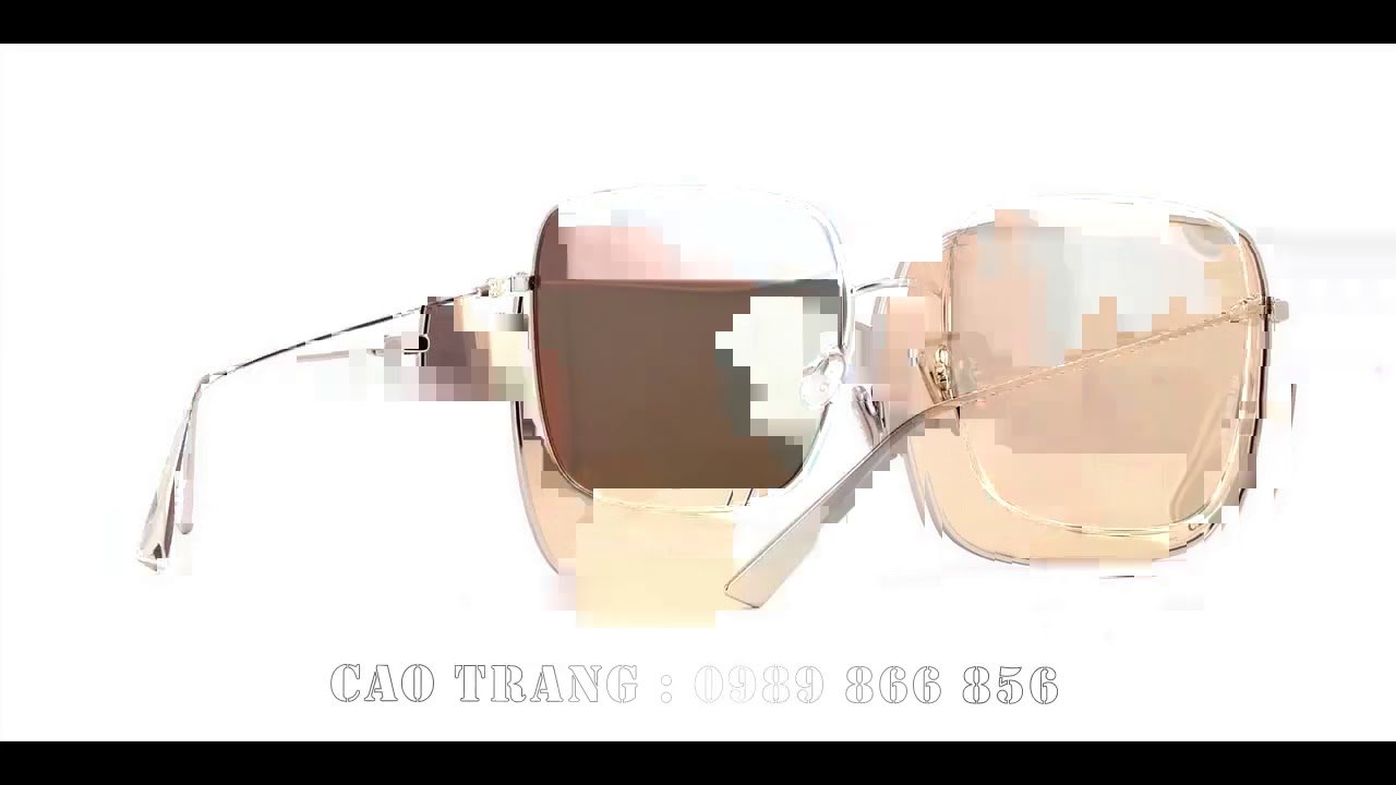 Dior Stellaire 1 010SQ