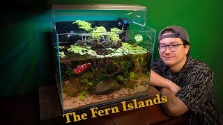 Making a Fern Island Paludarium for my Koi Betta by World of Whasian 7,196 views 1 month ago 26 minutes