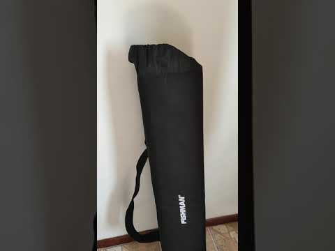 Fishman SA330X +