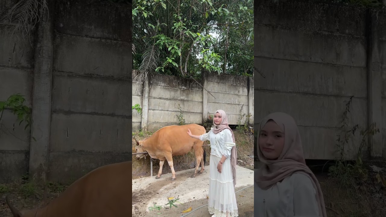 daging ipul siap di rendang🥹😋😞