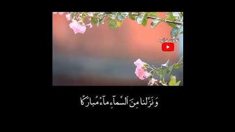 وَنَزَّلنا مِنَ السَّماءِ ماءً مُبارَكًا/ القارئ اسلام صبحي/حالات واتس اب ومطر/ مقاطع انستغرام دينيه