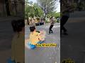 Thử thách kéo một chiếc ô tô.#giaitri #shortvideo #thuthachgioihan