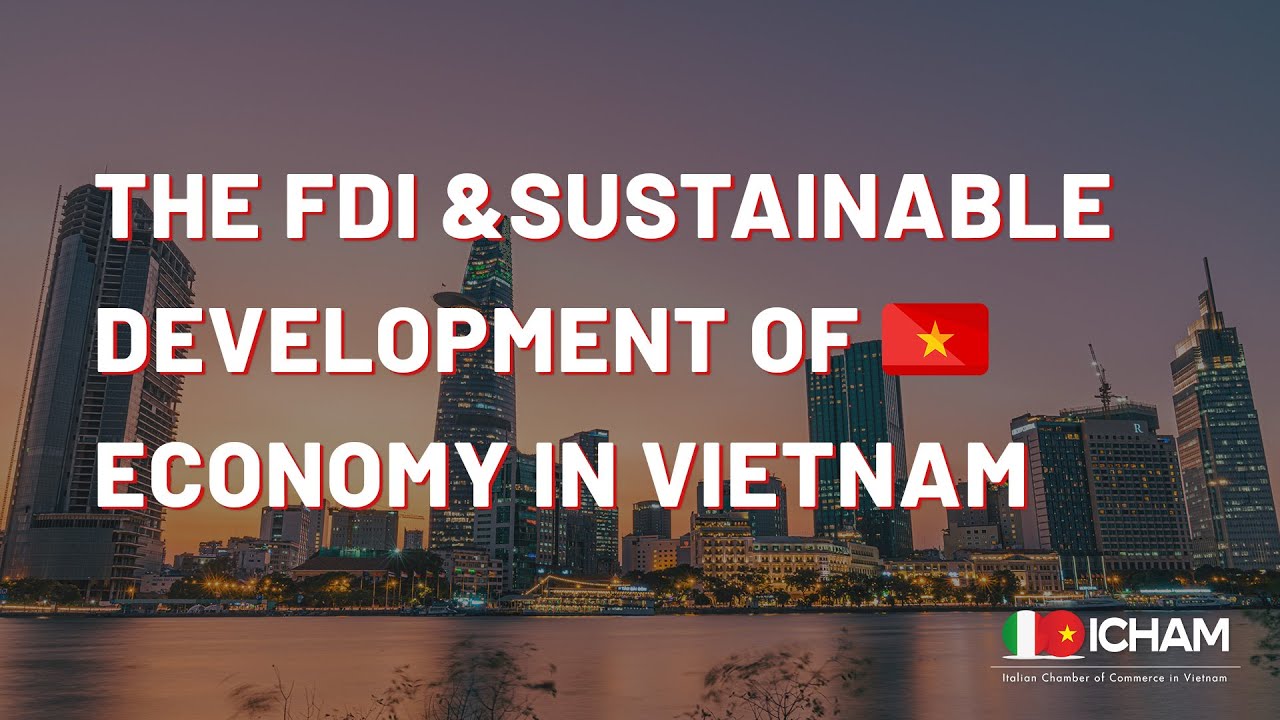 FDI and Sustainable Development of Economy in Vietnam - YouTube