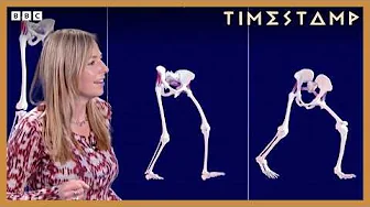 Exploring the evolution of walking styles with Prof Alice Roberts | BBC Timestamp