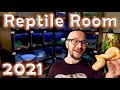 The NEW Reptile Room Tour 2021 | Over 75 Reptiles and Their Enclosures!