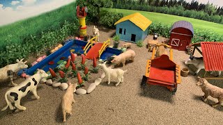 DIY how to make mini horse, chicken Farm Diorama - Cattle Farm - Barn Animal - Farm House!