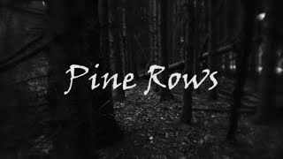 Pine Rows: Soft Focus Canon FD to MFT Adapter screenshot 4