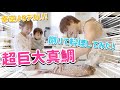 【超巨大】真鯛を捌いて料理してみた！