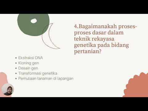 Video: Bagaimana rekayasa genetika digunakan dalam pertanian?