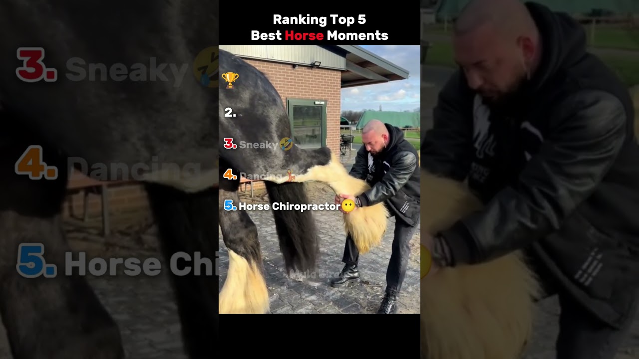 Ranking Top 5 Best Horse Moments