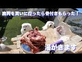 鹿肉骨つきを猟師さんから頂きました