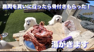 鹿肉骨つきを猟師さんから頂きました