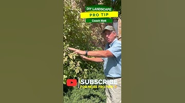 Wrong Sized Bed? 😱 | PRO TIPS | DIY Landscaping #shorts