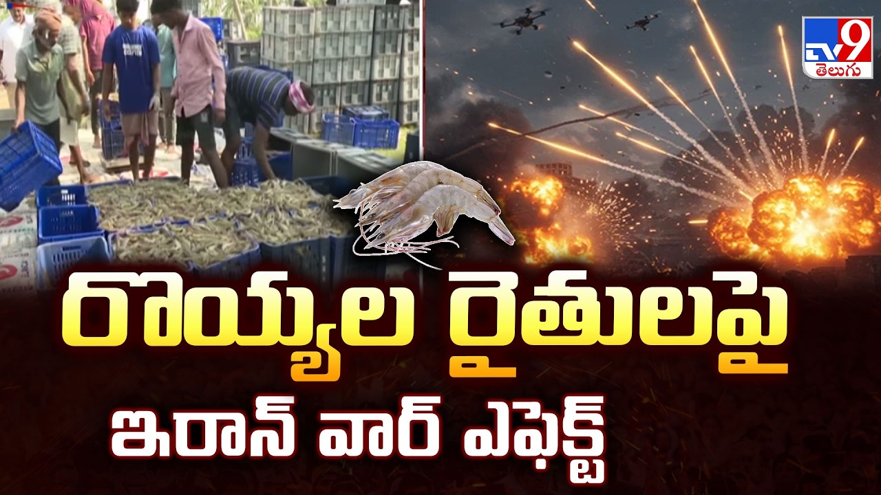 Iran War Effect on Shrimp Farmers : రొయ్యల రైతులపై ఇరాన్ వార్ ఎఫెక్ట్   - TV9