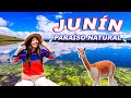 LAGO CHINCHAYCOCHA JUNÍN, Un paraíso de la naturaleza 🦙| TRAVELERAS @hugoxchugox