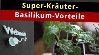 Gesundheitliche Vorteile von Basilikum