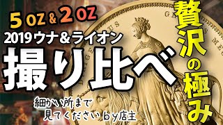 超マニアック！モダンウナライオン金貨の2オンスと5オンス金貨比較してみました。